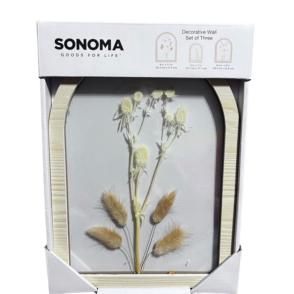 Sonoma Decorative Wall Hangings Set of Three